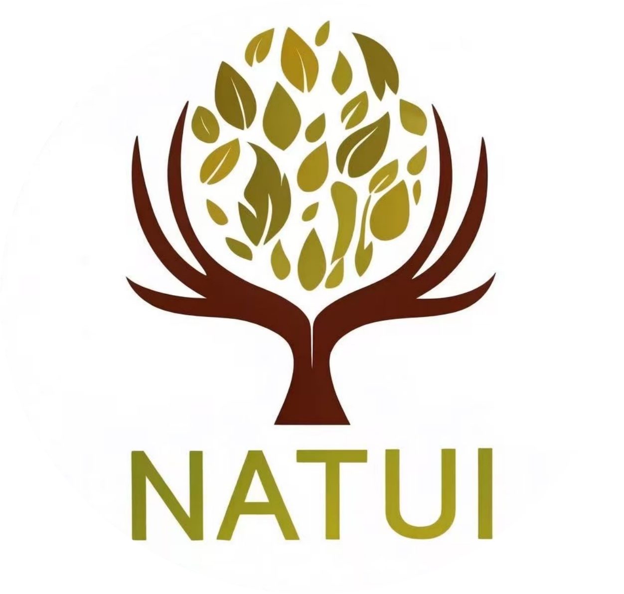 NATUI Logo